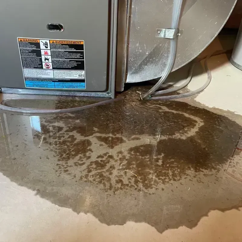 Appliance Leak Cleanup in Preston Heights, IL